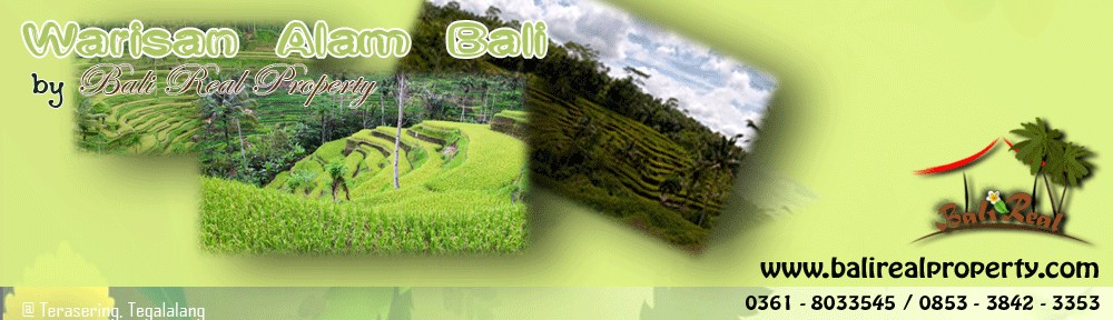 Jual Tanah di Ubud Bali