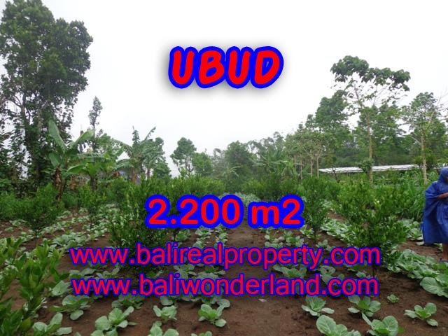 Tanah dijual di Ubud