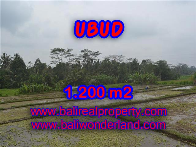 Jual tanah di Ubud Bali