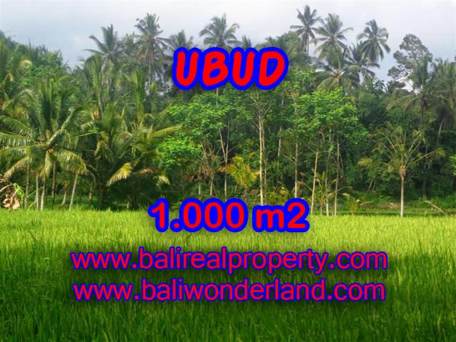Tanah dijual di Ubud Bali 1.000 m2 view sawah di Ubud Payangan